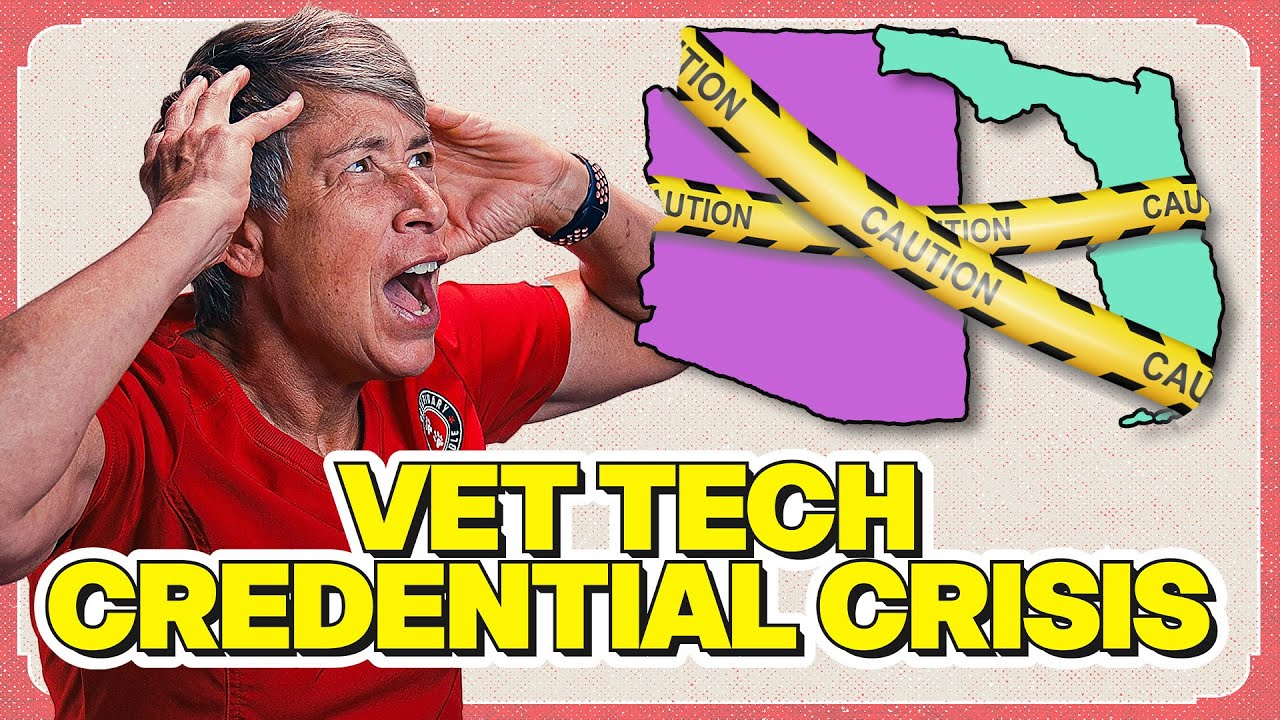 Arizona And Florida's Vet Tech Credentialing Crisis | The Veterinary Roundtable - EP115