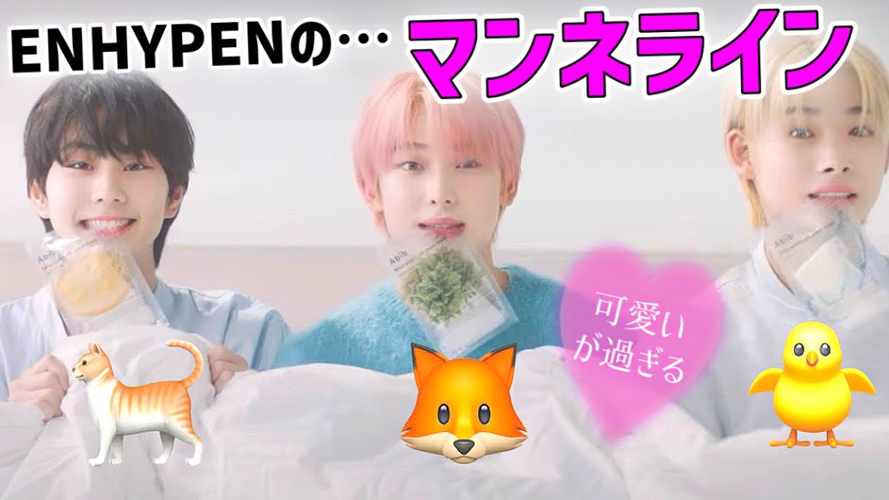 ENHYPENのマンネラインの可愛いが爆発中。ジョンウォンソヌニキ【ENHYPEN/日本語字幕/NI_KI/sunoo/jungwon】