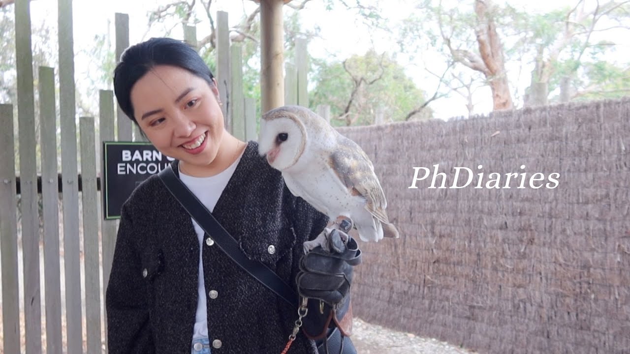 PhD diaries | night owl routine, embrace the imperfect self