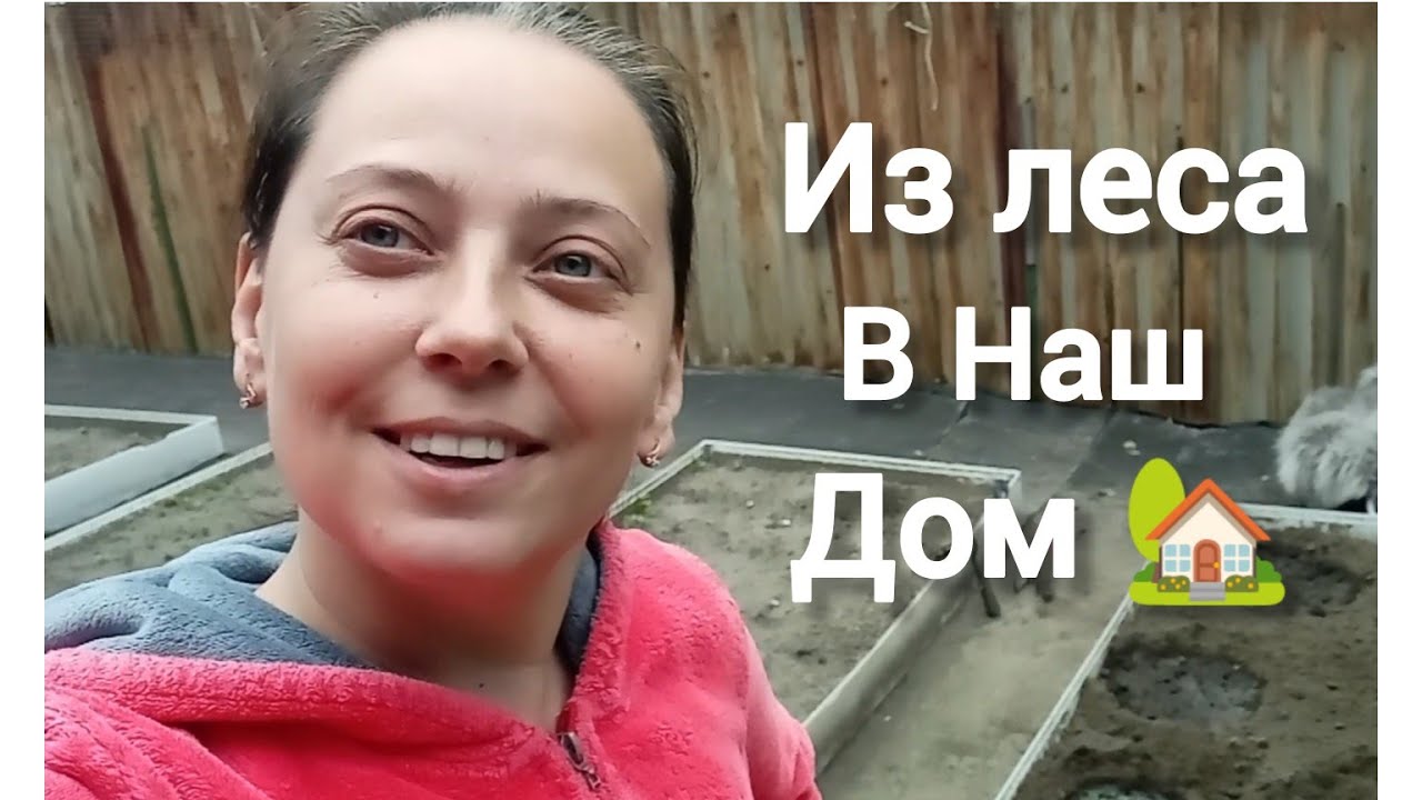 НОВЫЙ ДОМ ДЛЯ ДИКОГО КОТЕНКА, ИГРЫ, ОГОРОД И ВКУСНЫЙ ГУЛЯЖ!#переселенцы#рекомендации#життявселі
