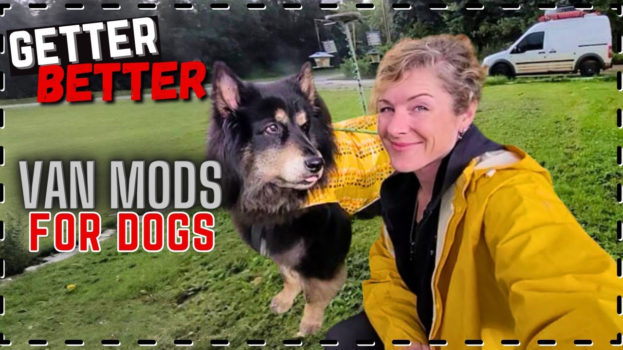 DIY Camper Van Mods for Dogs!🐕