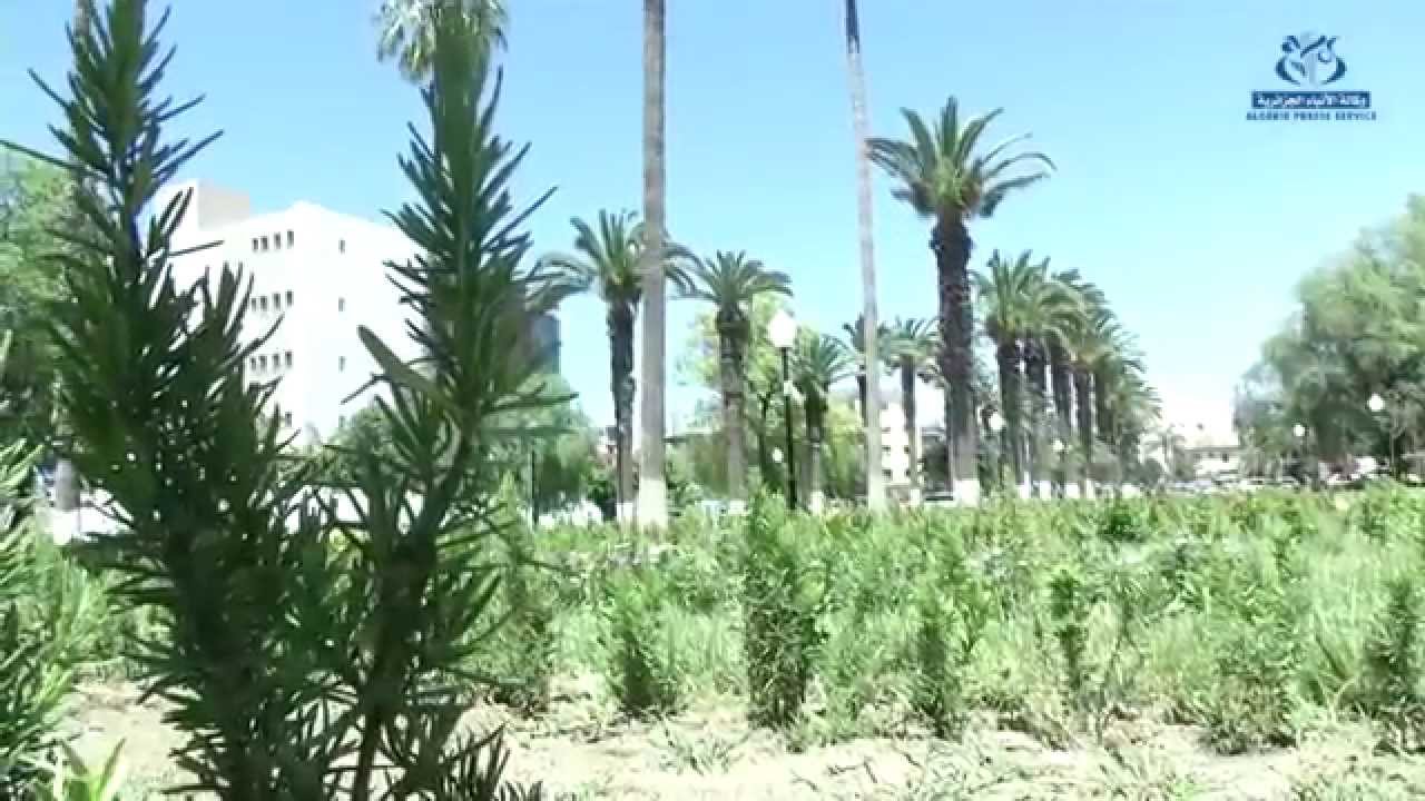 حديقة الرويبة تفتح أبوابها من جديد بعد إعادة تهيئتها