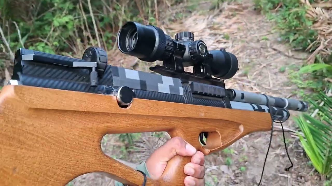 Fui na seva das pacas com a carabina P10. E as pacas veio. Acompanha nós nessa aventura 🎯 