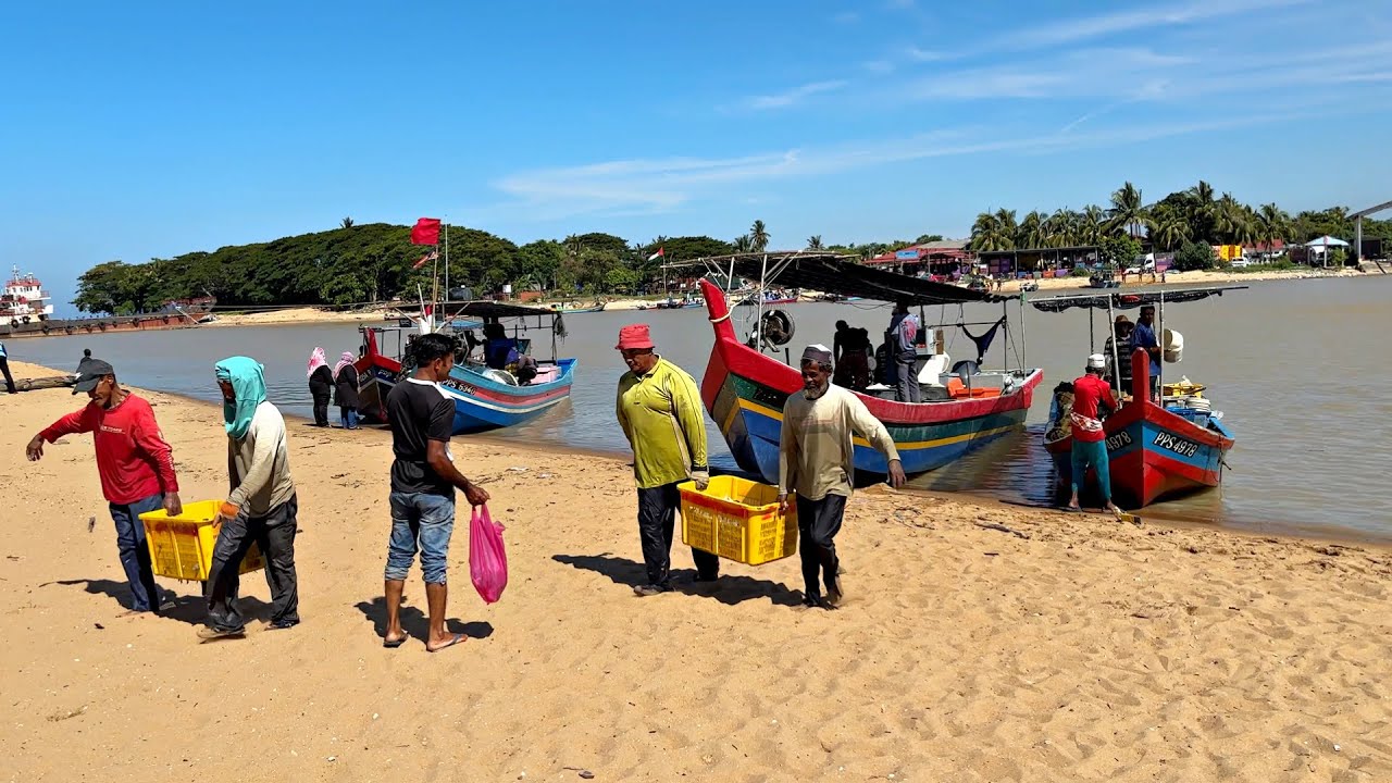 Pasar Bisik Kuala Muda, Pulau Pinang - Most Unique Malaysia Fisherman Market
