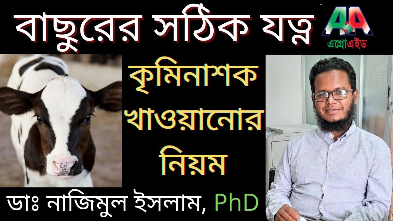 বাছুরের সঠিক যত্ন ও কৃমিনাশক খাওয়ানোর নিয়ম Calf care and deworming time | ডাঃ নাজিমুল ইসলাম #AgroAid