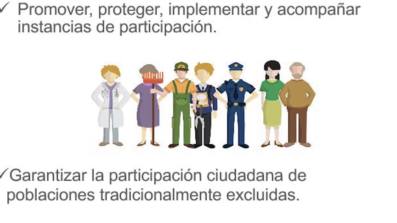 Ciudadan&iacute;a al d&iacute;a: Control Social.