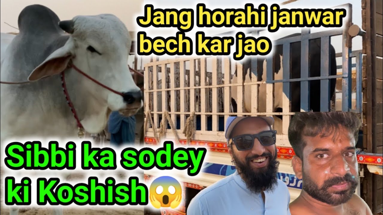 ALLAH reham karen🙏| 5 lakh 10 hazar ma soda kesa hoa😯