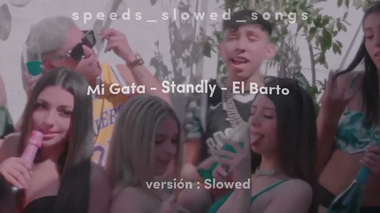 Mi Gata - Standly - El Barto (Slowed+ Reberv)