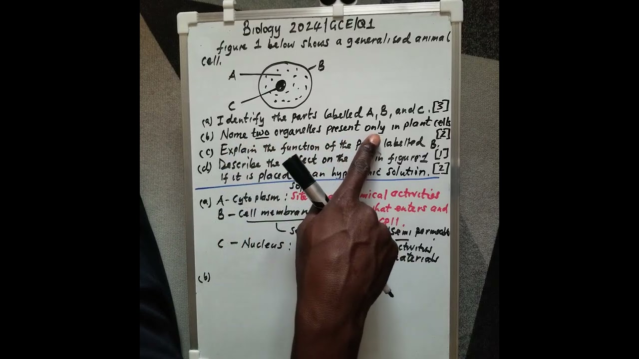 Cell structure 