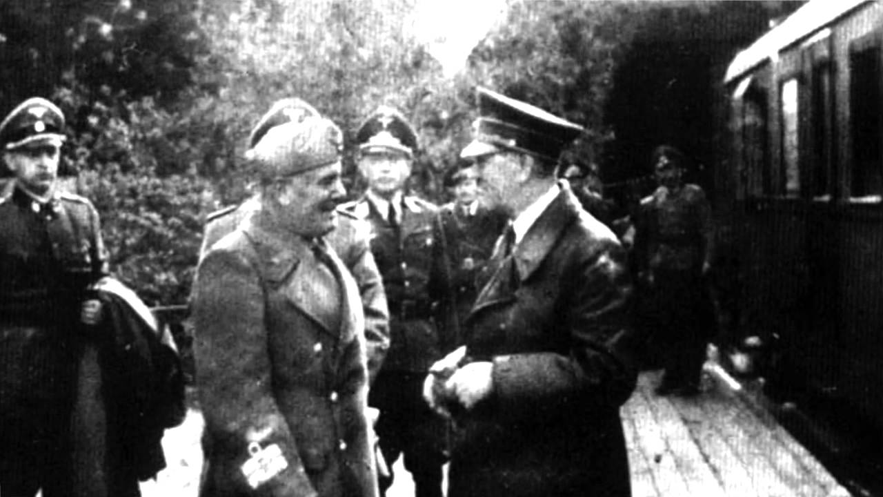 Co kryje tajny schron Hitlera w Stępinie? Relacja ostatniego świadka