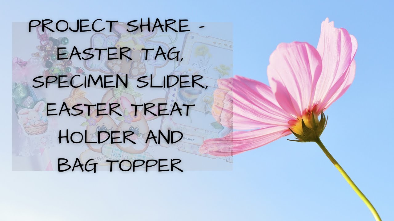 Project Share   Easter Tag, Slider Specimen, Easter Treat Holder, Bag Topper   Made with Clipchamp