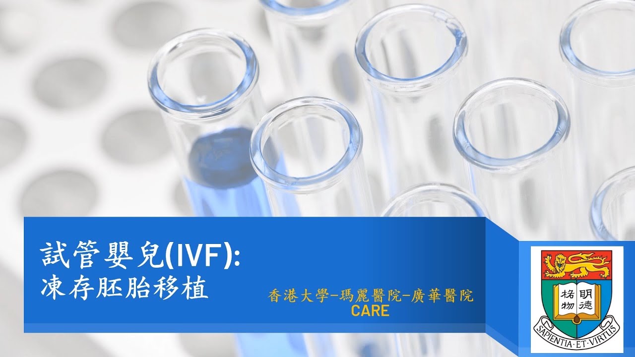 IVF輔導（廣東話） 4 - 試管嬰兒IVF：凍存胚胎移植