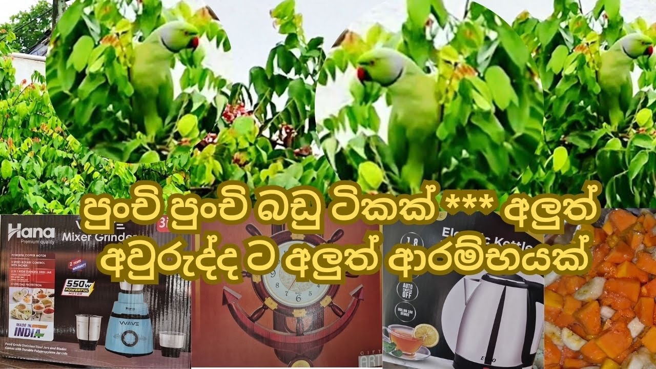 අලුත් ආරම්භයකට අපේ සිතිවිලි අපේ අධිෂ්ඨානයන් අපේ ප්‍රාර්ථනයන් හොඳ විදිහට වෙනස් කරගමු