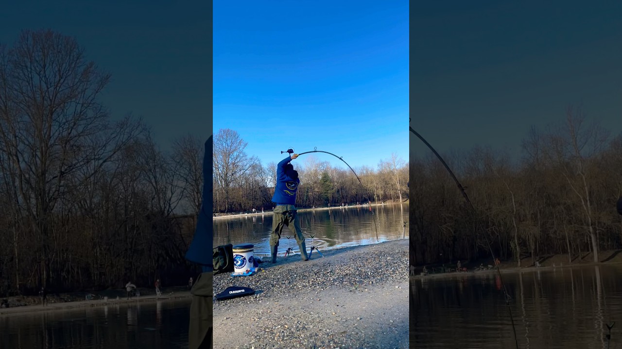 Piega al contrario🎣￼#pescaallostorione #tegasturgeon #ferratepotenti #fishing #passionepesca