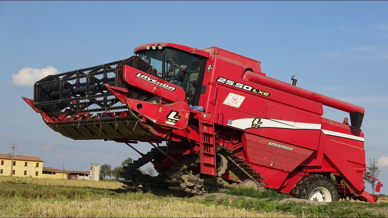 Laverda 25.50 | Rice Harvest 2017