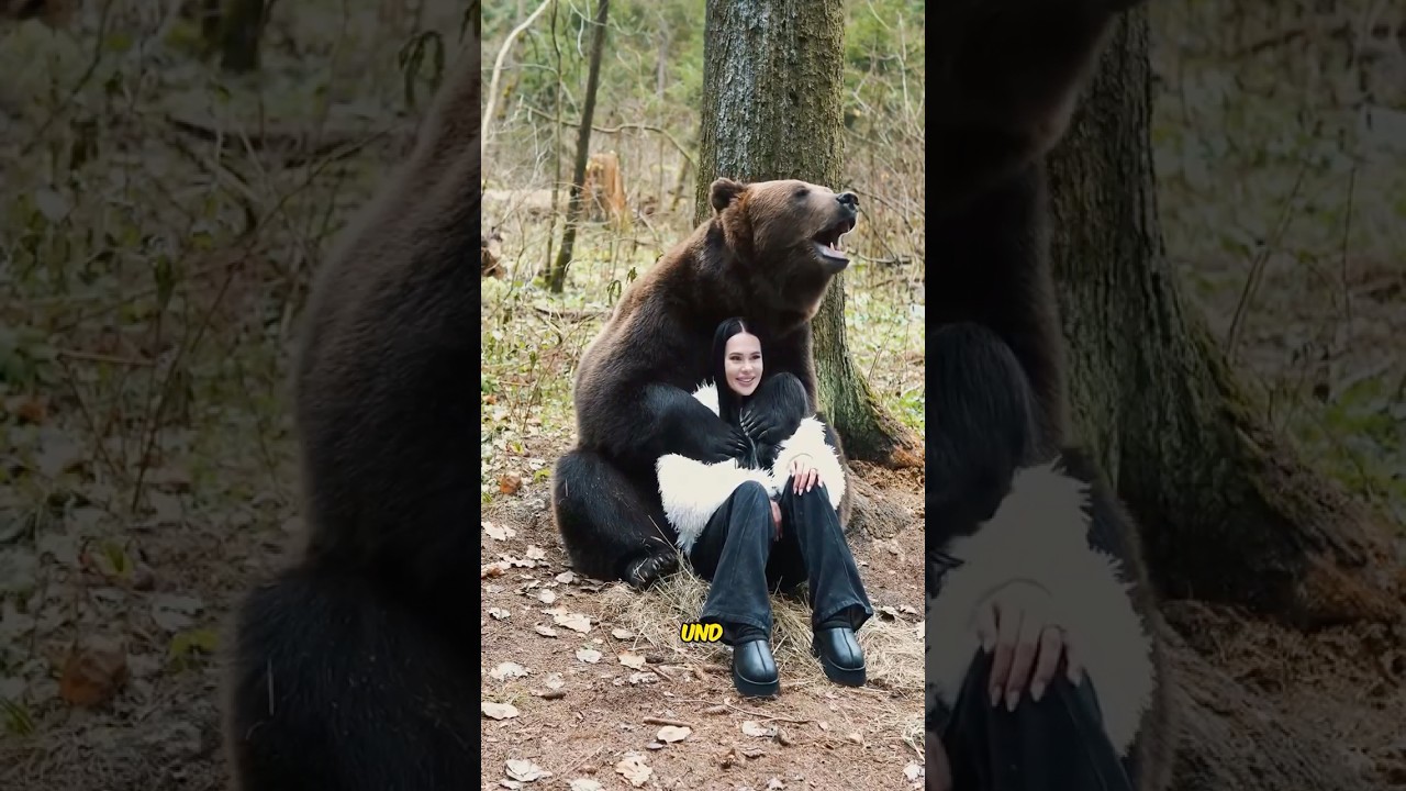 Ein Braunb&auml;r, aufgezogen von einem russischen Onkel #shorts em