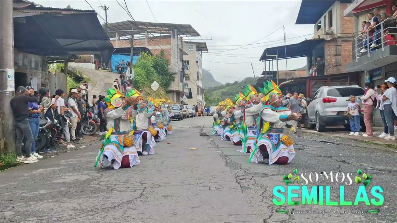 CHICHA (bebida ancestral awá)  - Semillas Folklóricas 🌿 