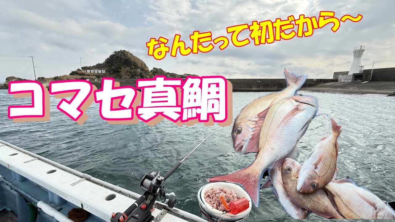 【外房太海港聡丸・コマセ真鯛】苦手意識の克服と認識