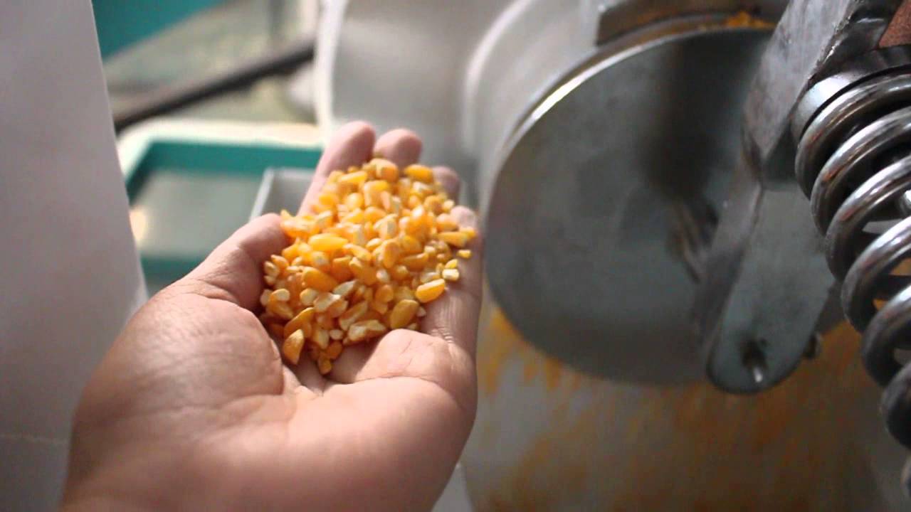 maize dehulling and polishing line, corn degerming machine, maize grits making line for brewery