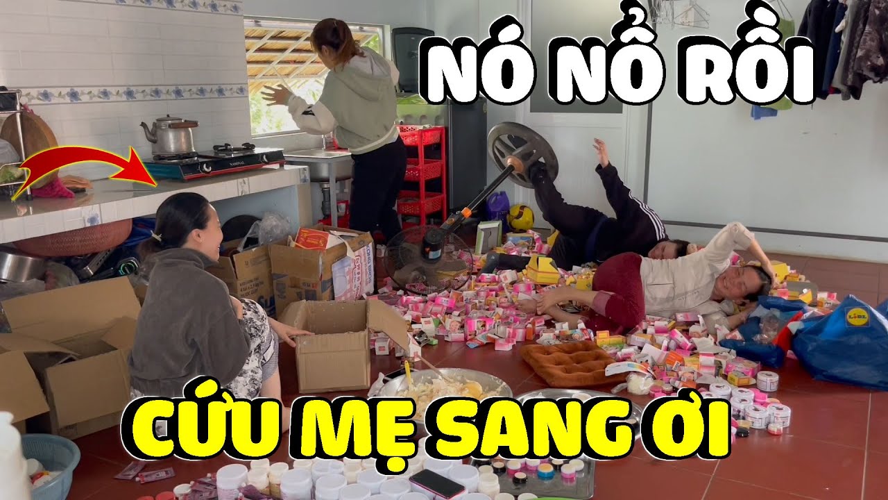 Vợ Sơn Báo Hú Hồn Vì Bị Ba Báo Troll | Hải Ka Vlogs