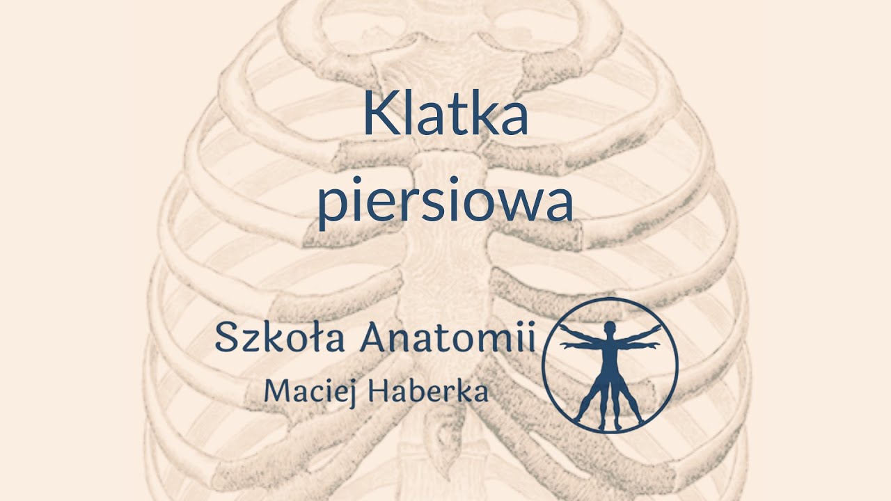 Klatka piersiowa (wstęp)