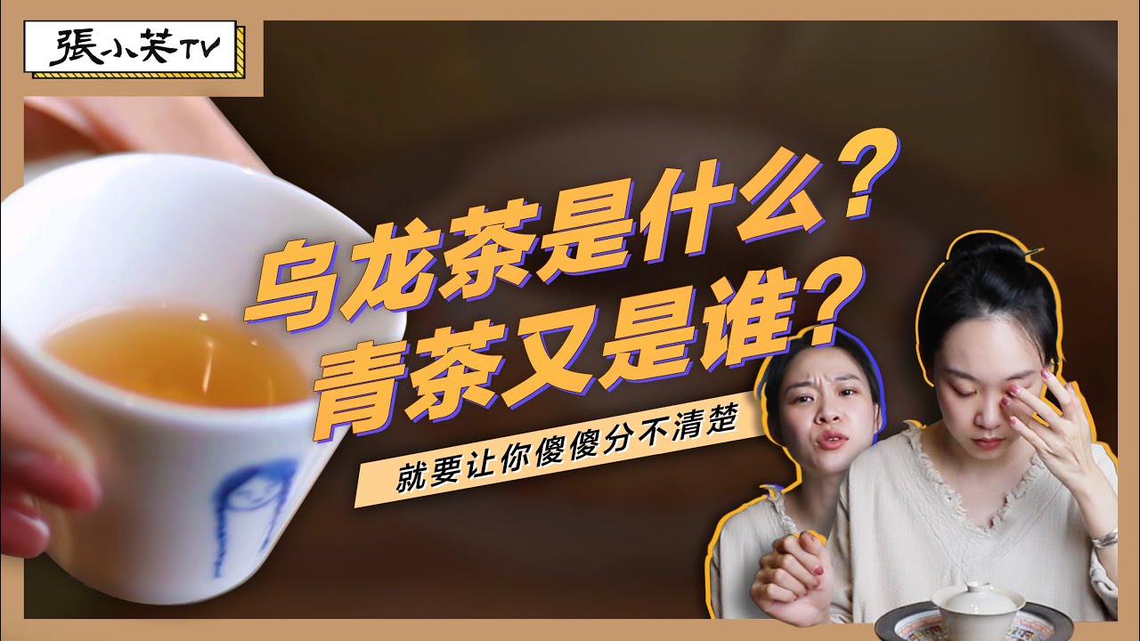 烏龍茶是紅茶還是綠茶？青茶又是什麼？【張小笑TV】