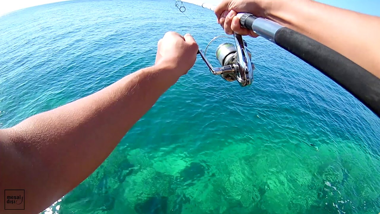 Lambuka (Mahi Mahi) Avı çılgın balıkların oltayla dansı