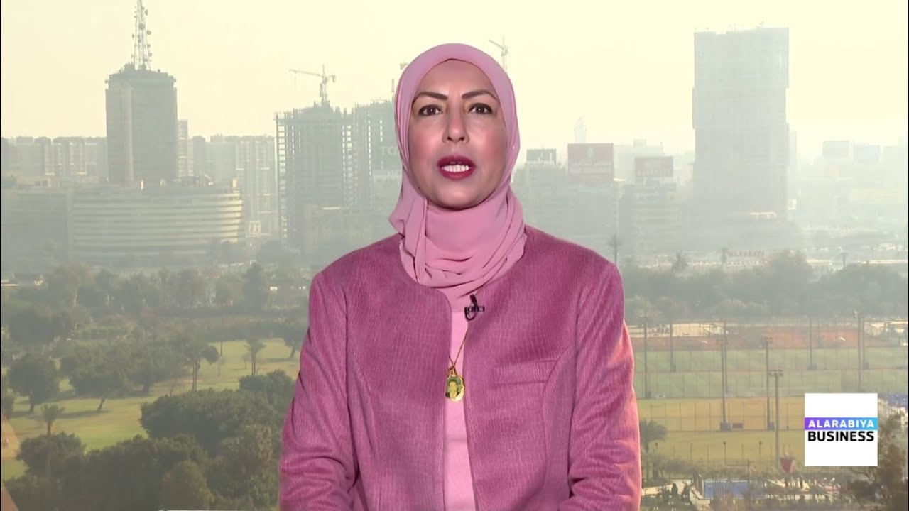 فهمية زايد: صندوق النقد يضع مصر على جدول اجتماع المجلس التنفيذي يوم 10مارس لمناقشة المراجعة الرابعة