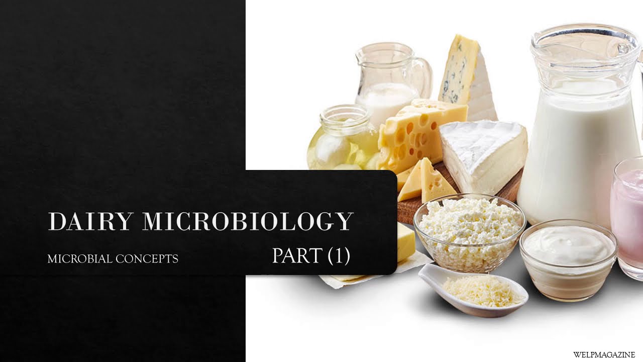DAIRY MICROBIOLOGY 1 | Milk microbiology |MILK