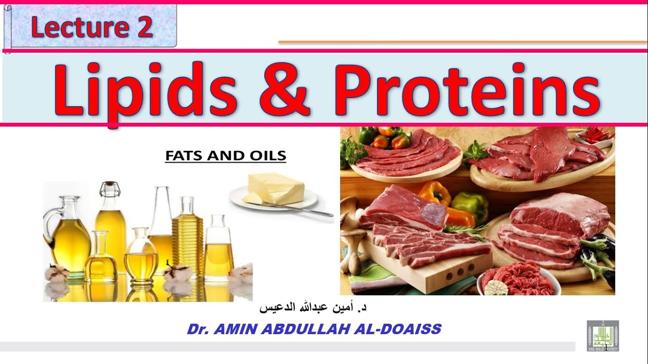 Human Biology: Lecture 2: Lipids and proteins