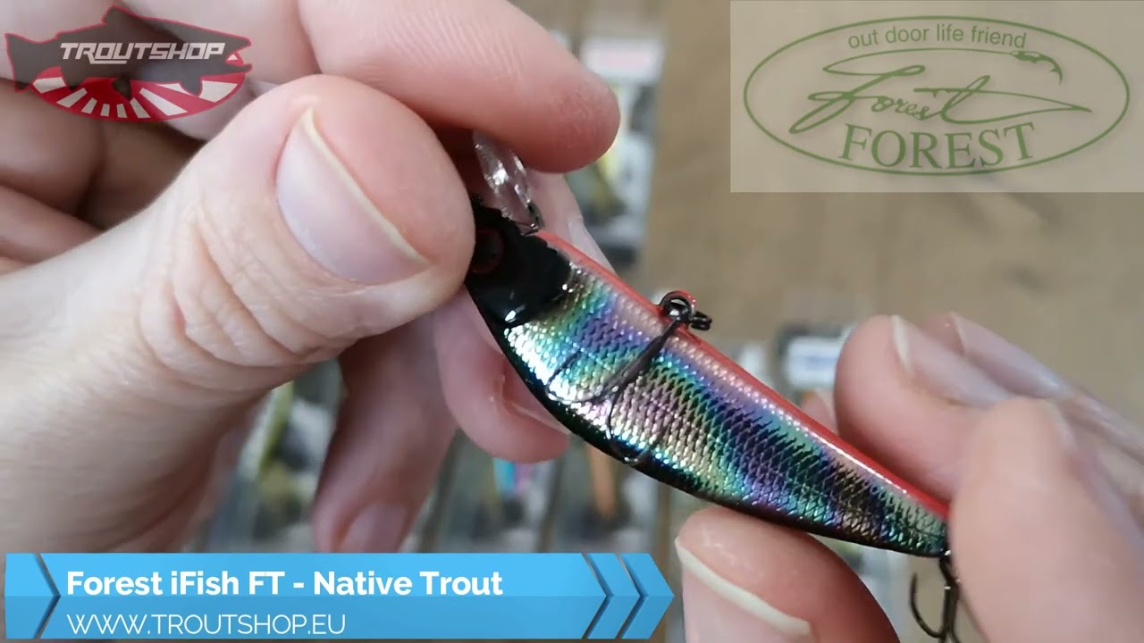 Forest ifish FT - Native trout wobbler - Japan