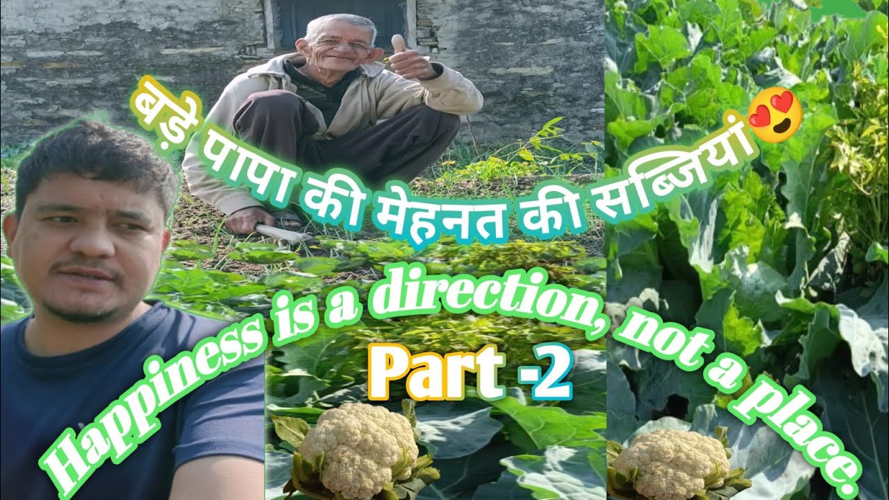 ताजगी से भरपूर पहाड़ की सब्जियां || Always Eat Fresh Vegetable😊|| Part-2 @Pahadi_vlogger_yogi 