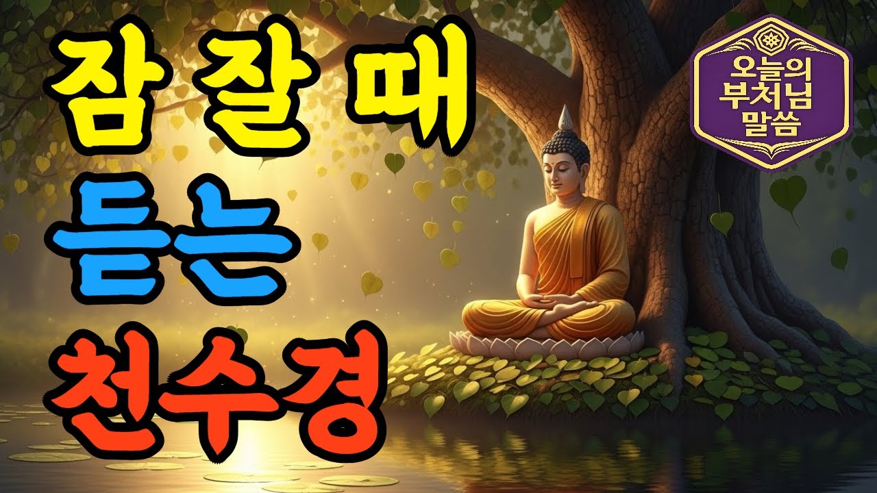 ▶▶▶  [오늘의 부처님 말씀]  넘어져도 방향은 잊지 마라 !!!  지금 이 순간을 버티게 하는 부처님의 말씀 !!! #천수경