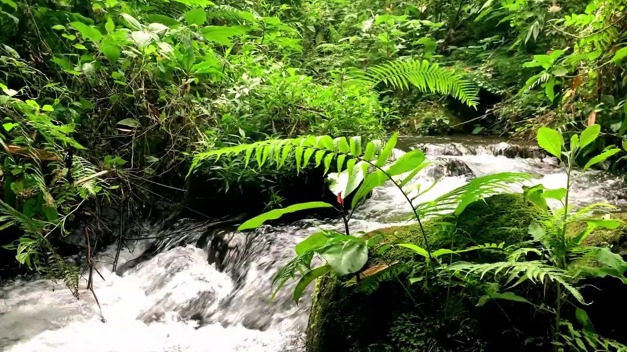 River Sound for Sleep, Tension Release, Homework