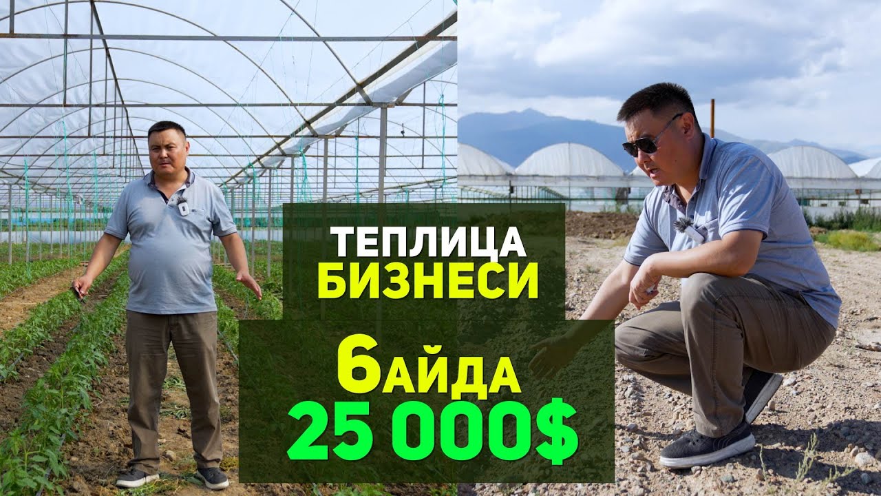 Теплица иштетип байып кетет деп ишенген эмесмин. Бул видеодон кийин ойлонуп каласынар.