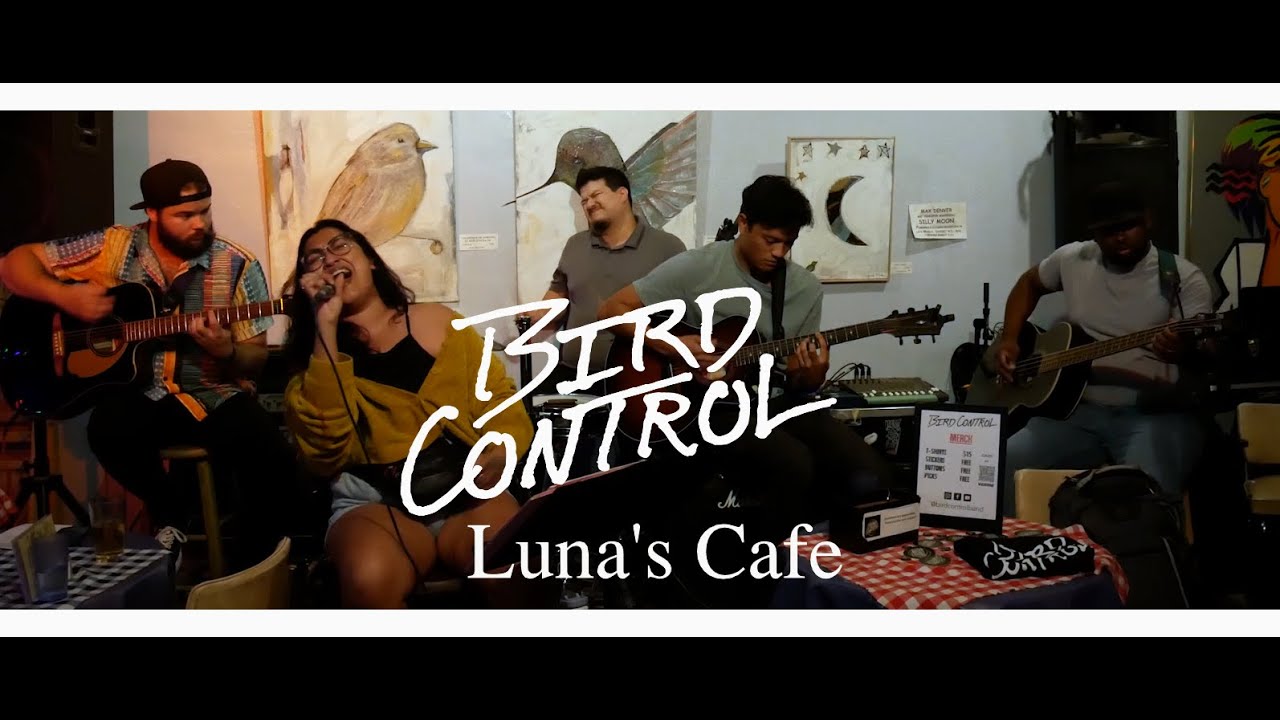 Bird Control at Luna's Cafe 5 - 20 - 22 (Acoustic Set)