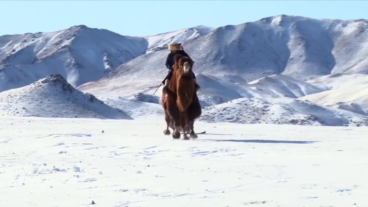 Snowboarding: The Gobi Cold Camel Eddition