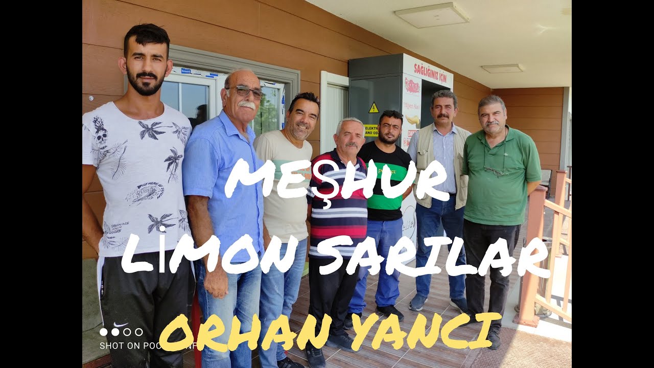 ESKİ SOY LİMON SARILARI BULDUK. Orhan YANCI Kümes ziyareti. Ankara Akyurt.
