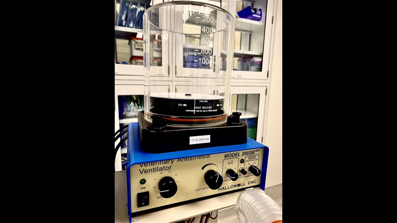 Anesthesia Ventilator video
