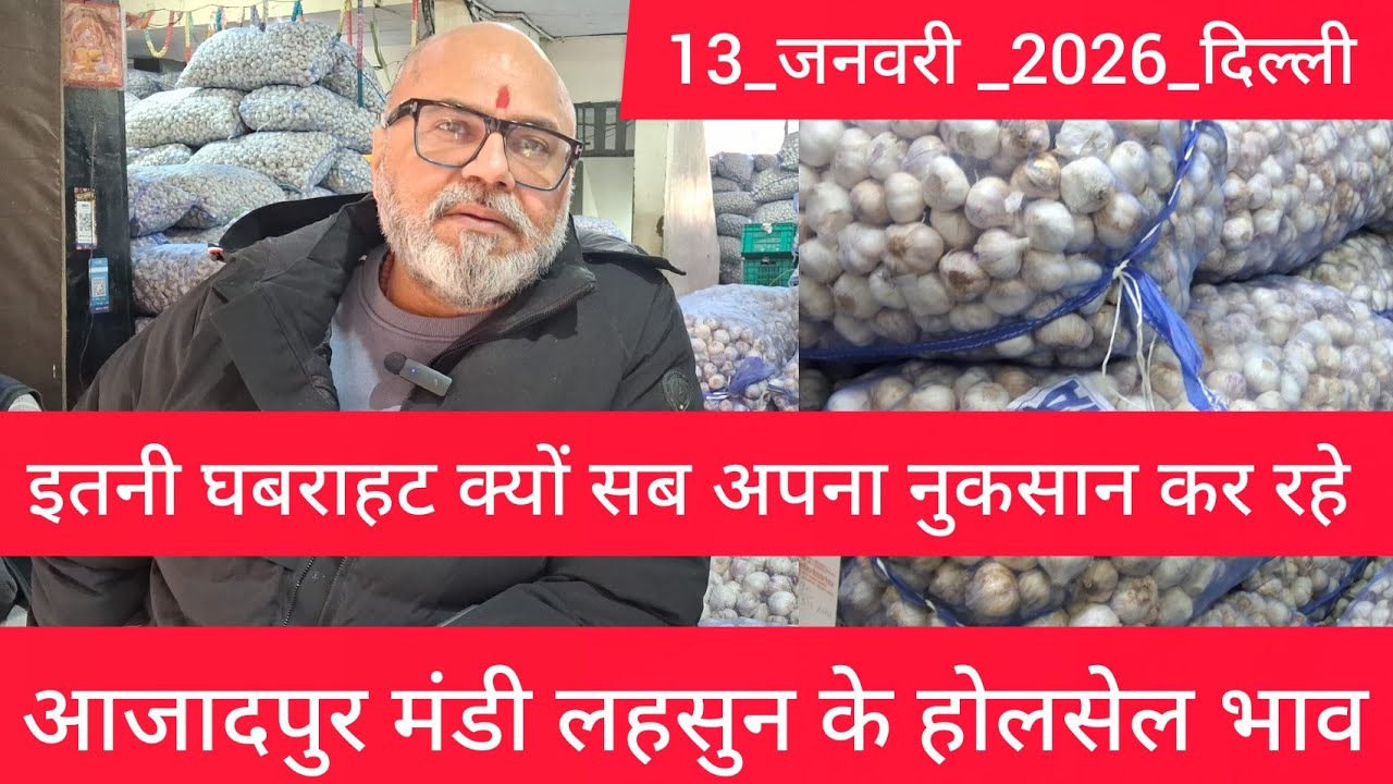January 13, 2026 दिल्ली 🧄 लहसुन के भाव Azadpur delhi mandi today garlic market price #garlicmarket