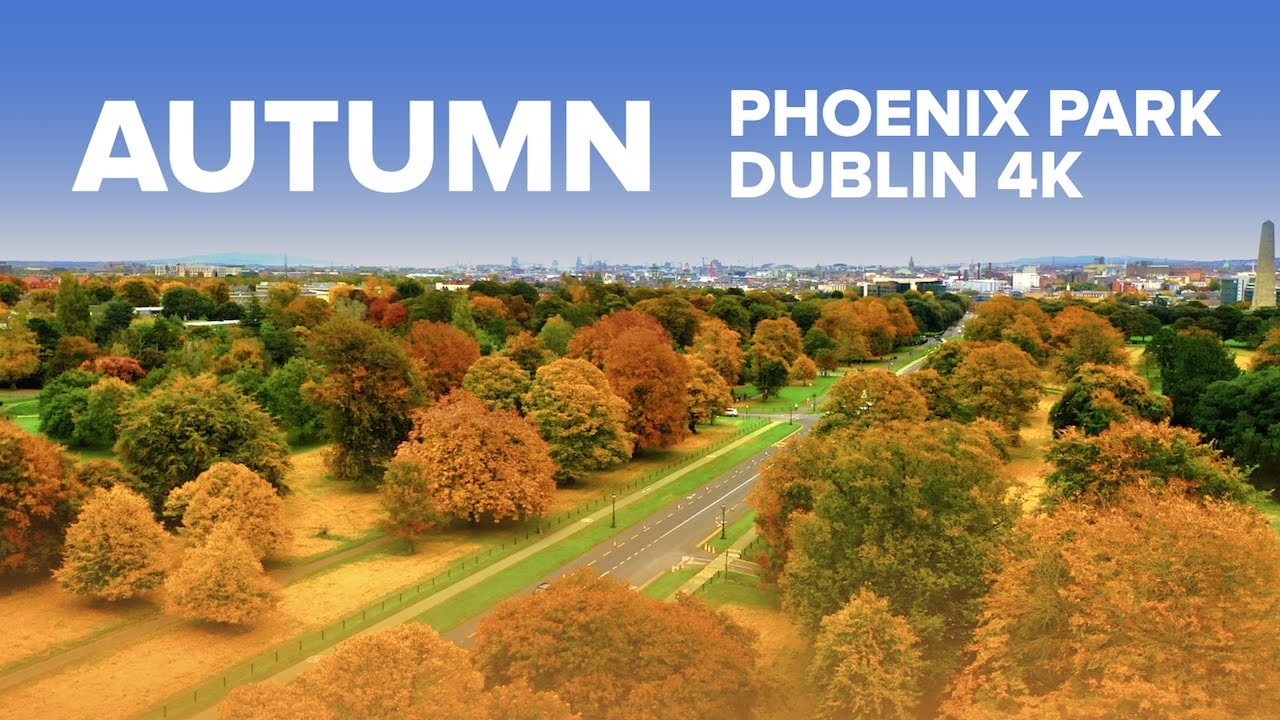 Dublin Phoenix Park in 4K | DJI Mavic 2 Autumn Drone Shots