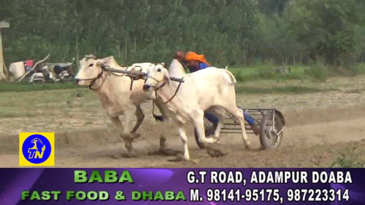 PANDORI RUKMAN KHED MELA ::TOP NEWS