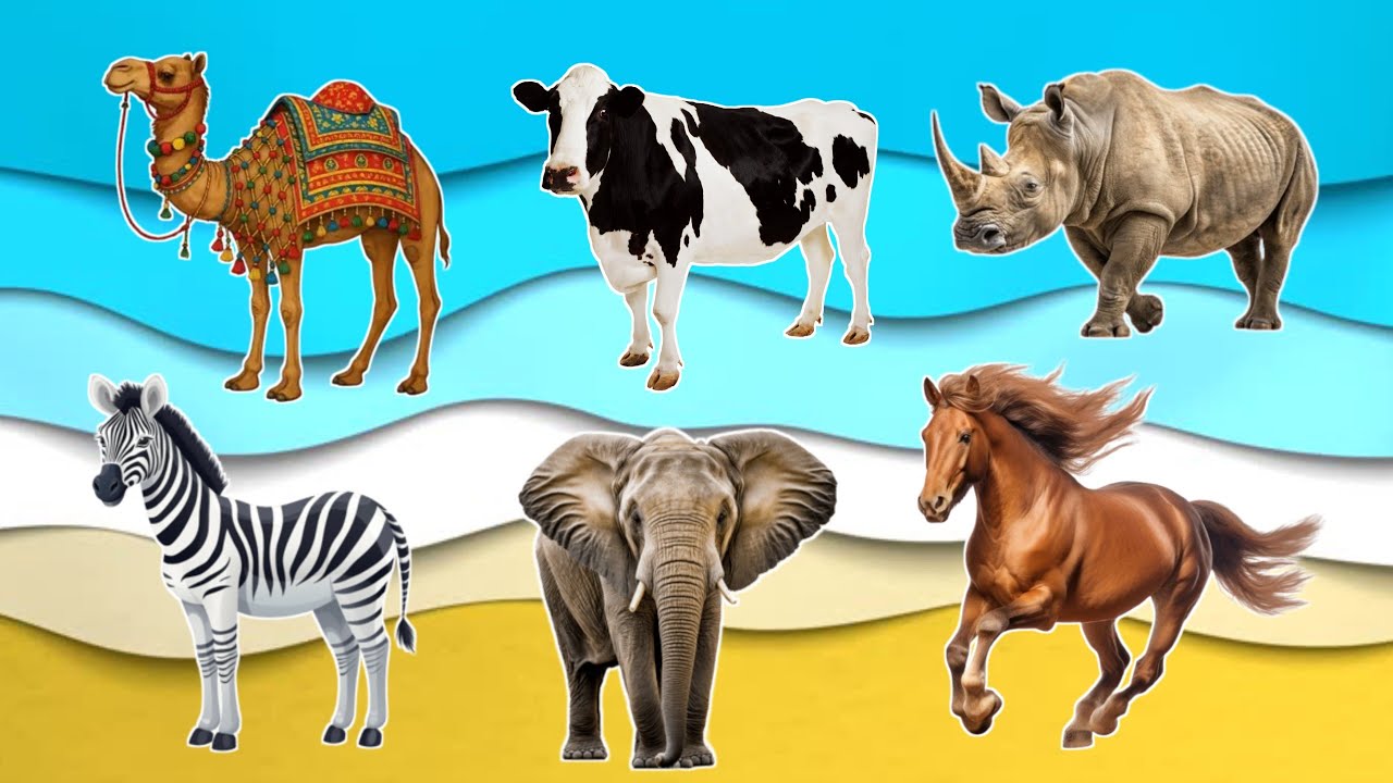 20 Animals Name for Kids | Learn Animal Names in English and Hindi 🐶🦁