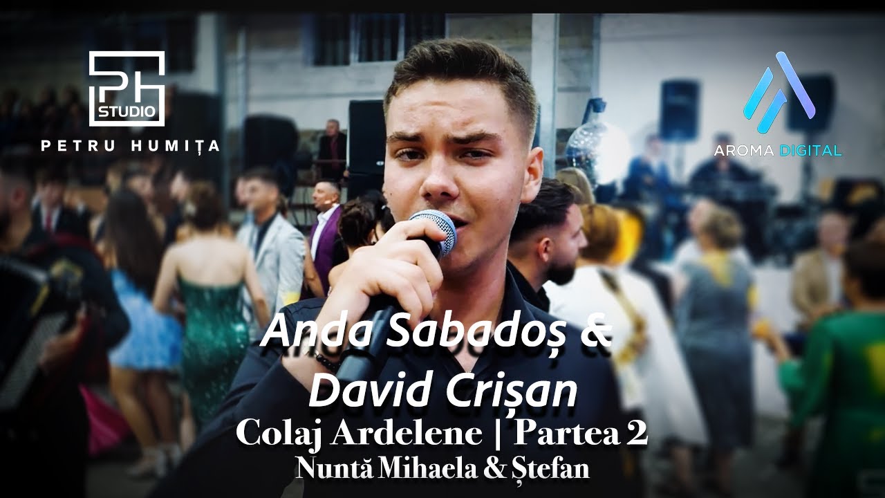 Anda Sabados & David Crisan - Colaj Ardelene | Partea 2 | Nunta Mihaela & Stefan
