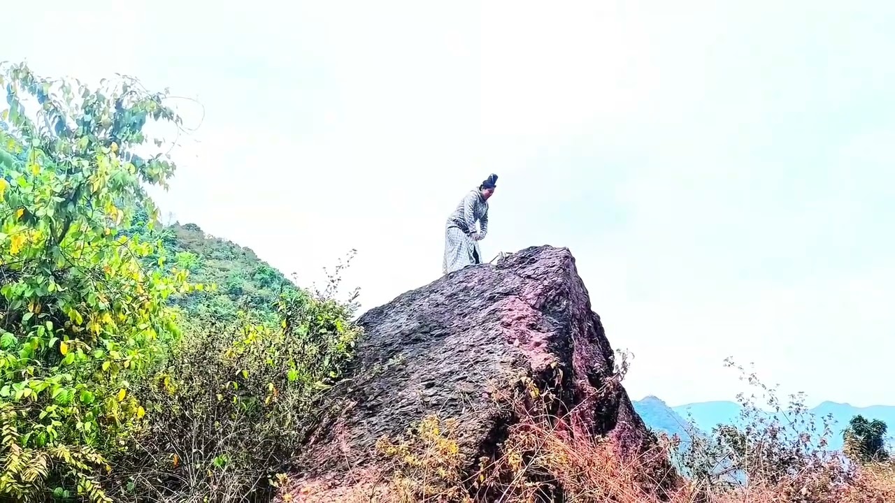 Chao pi nong tênh cá lài côn nơ 