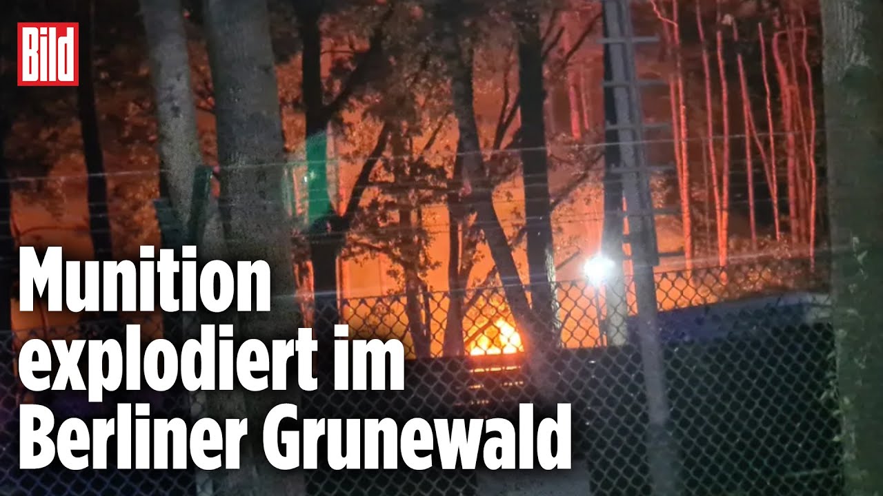Explosionen im Berliner Grunewald: Großbrand auf Sprengplatz der Polizei