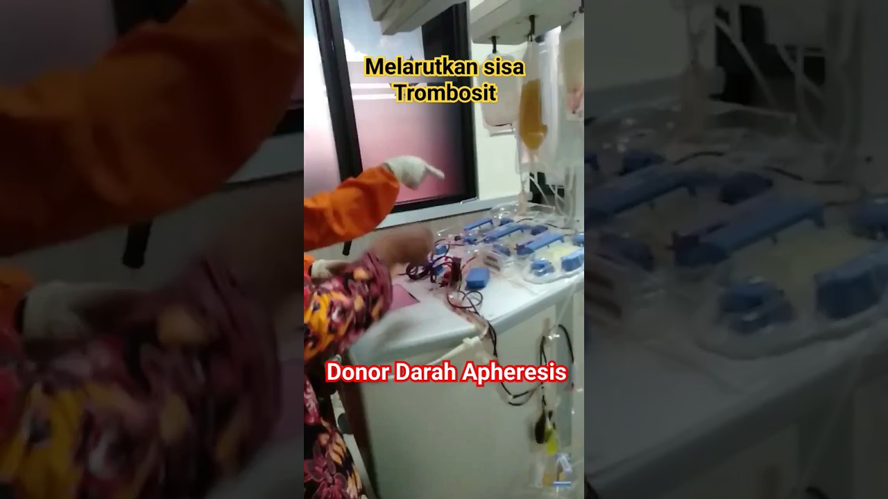 Donor Darah Apheresis #pmi #kemanusiaan #relawan #bantusubscribe #donordarah