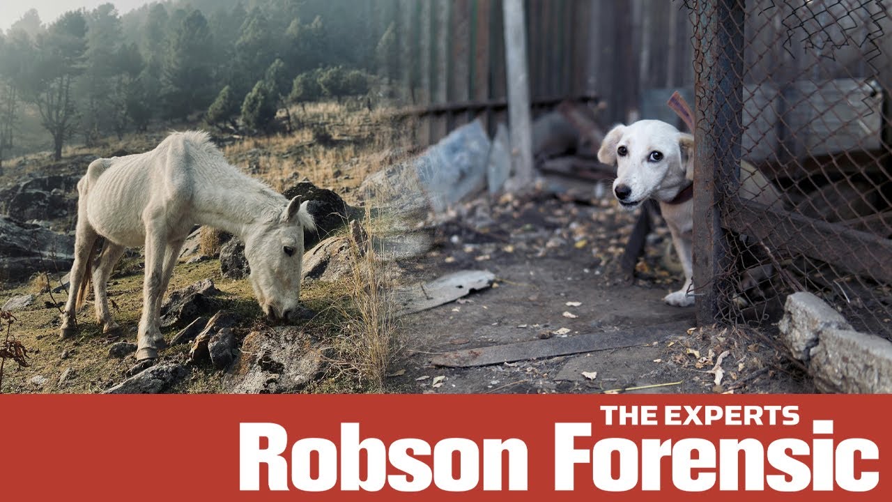Expert Webinar: Animal Abuse, Cruelty, and Neglect