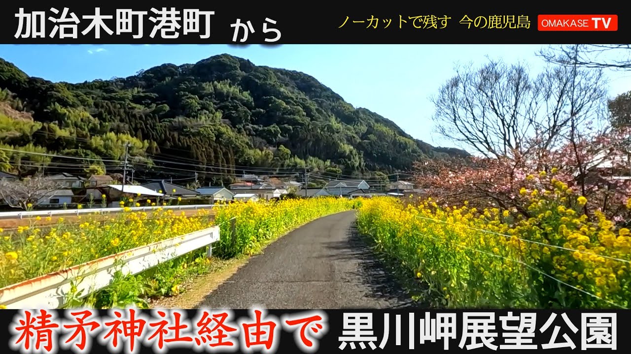鹿児島春探し　加治木町港町　黒川岬展望公園　精矛神社（くわしほこ）#加治木#Japan#Drivingvideo