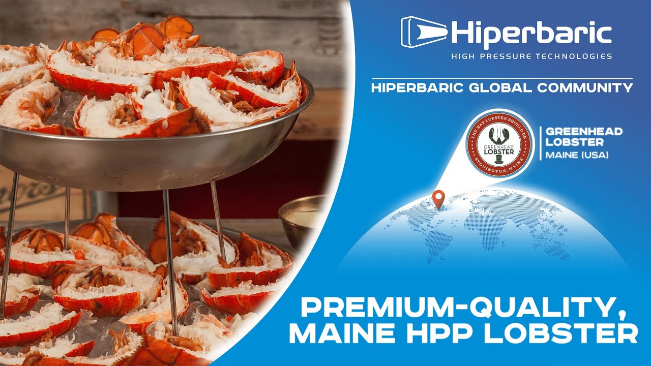 Greenhead Lobster: Premium-Quality, Maine HPP Lobster, #HiperbaricGlobalCommunity